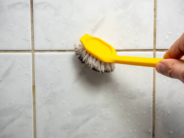 Trusted East Jordan, MI Mold Remediation Experts